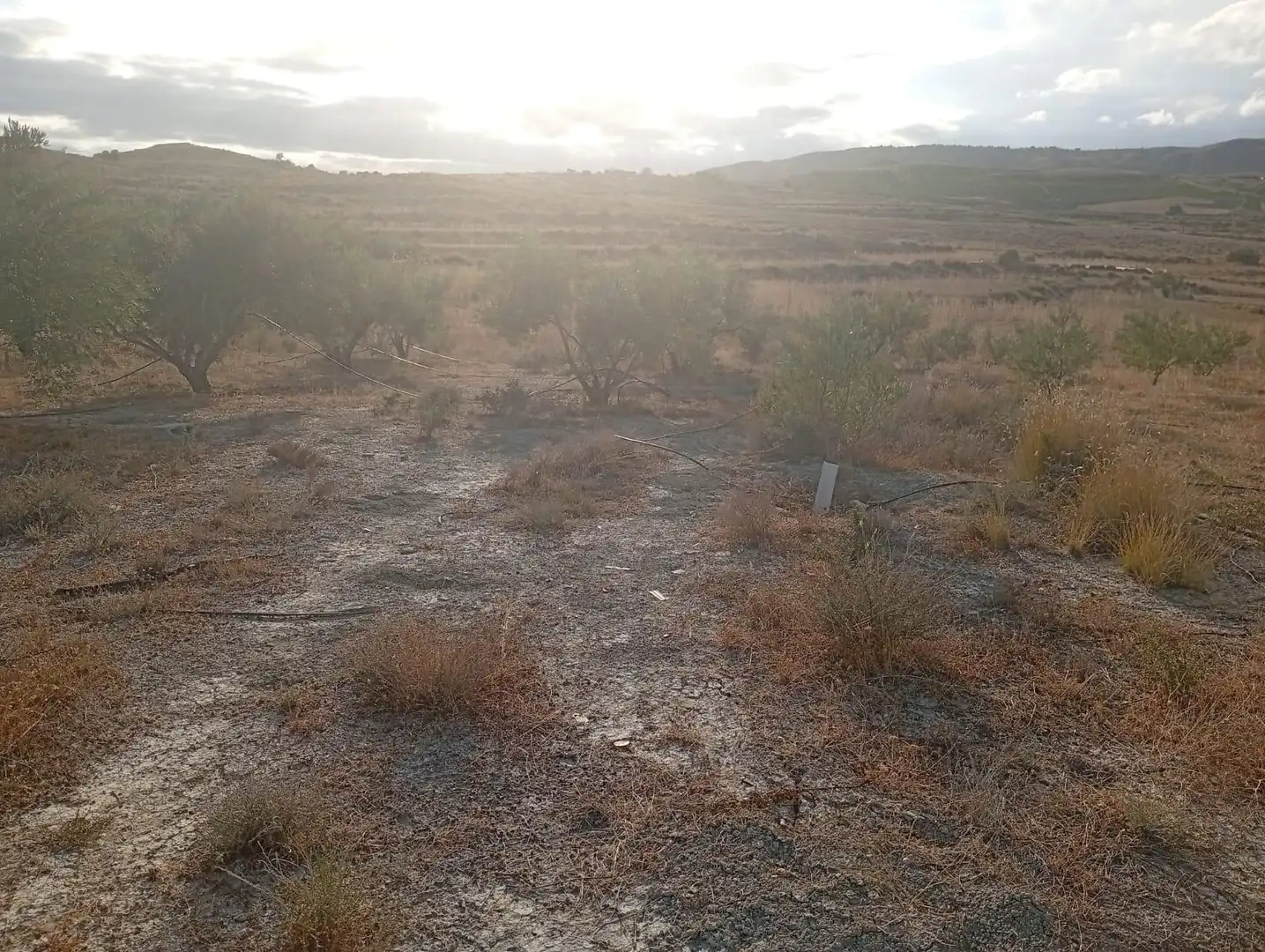 Terrenys i solars en venda a Los Gallardos, imagen 17