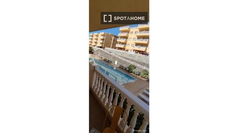 Photo 3 of Apartment to share in Palm - Mar, Santa Cruz de Tenerife