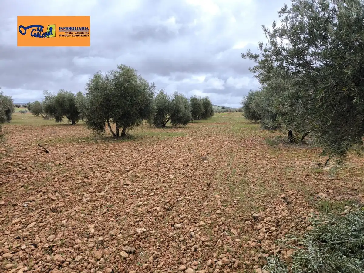 Chalet en venta en Valdepeñas, imagen 26