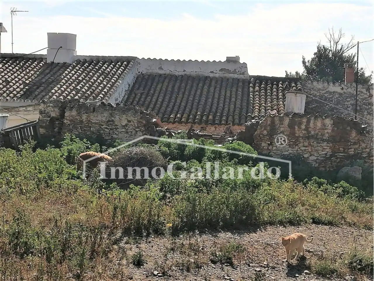Finca rústica en venda en Vélez-Málaga amb Jardí privat