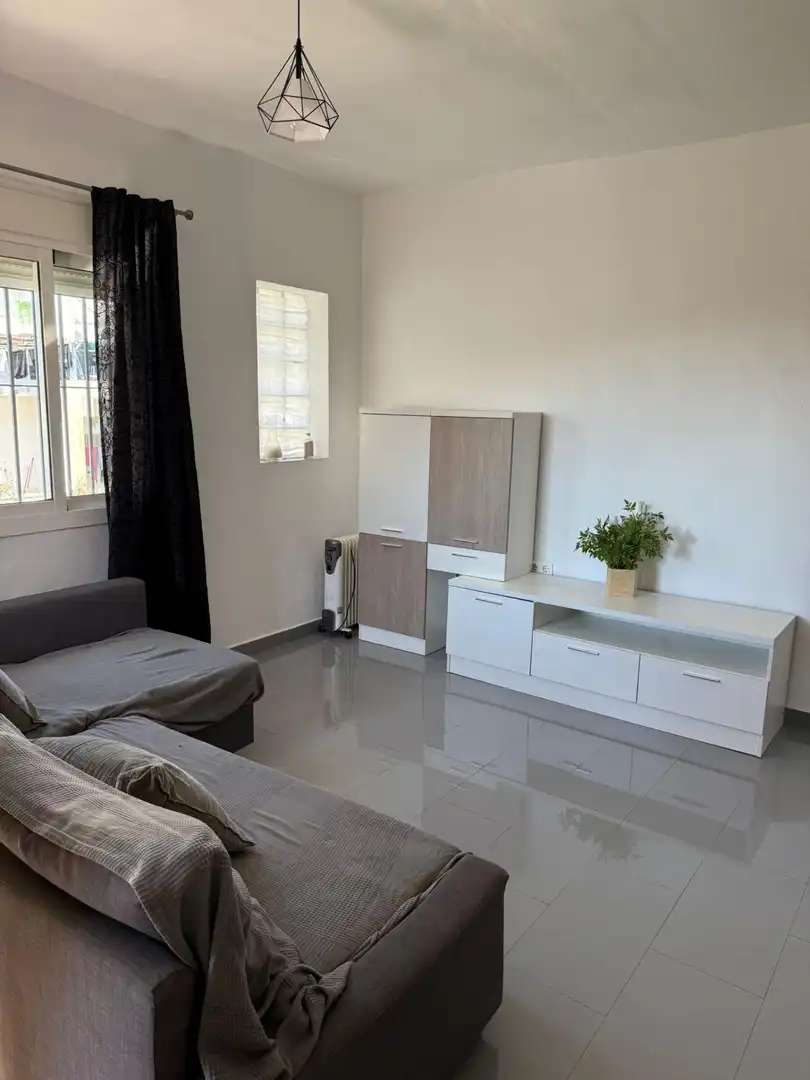 Living room of Flat for rent in Málaga Capital  with Air Conditioner and Furnished