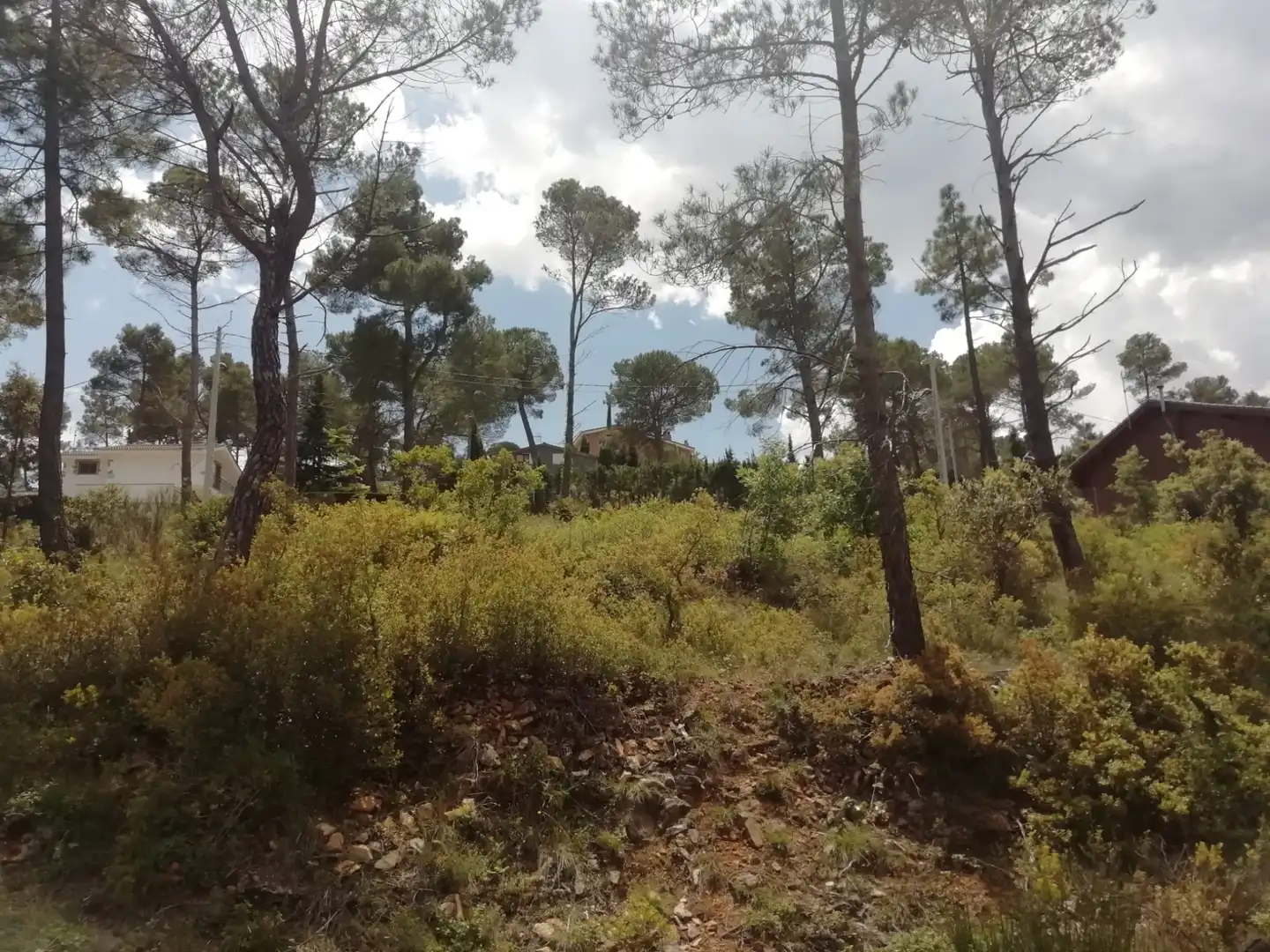 Residential land for sale in Mediona, imagen 16
