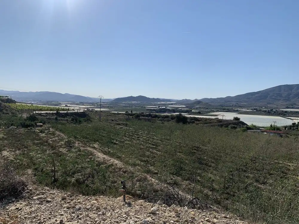 Terreno residencial en venta en Monforte del Cid, imagen 12