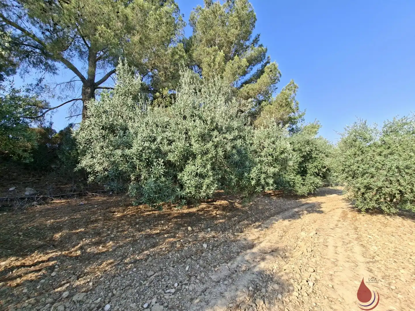 Terrenys i solars en venda a L'Arboç, imagen 6