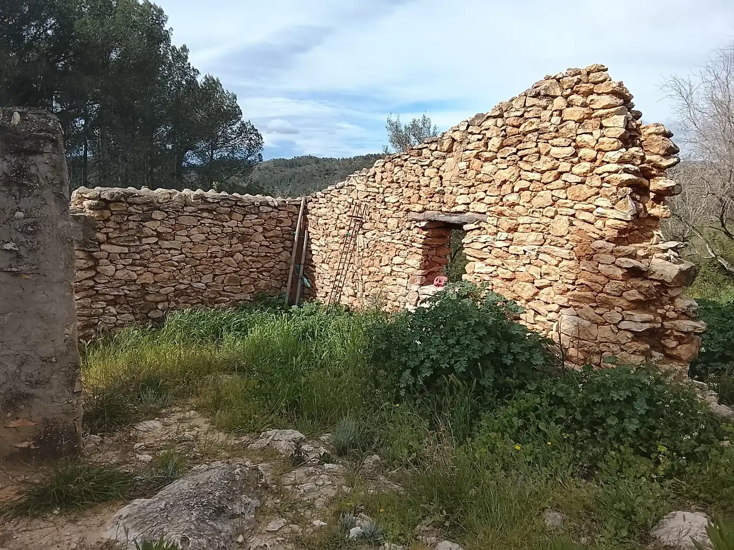 Casa rustica in vendita a Polígono 56 Paraje 586 PLANA DEL LLORELL, imagen 6