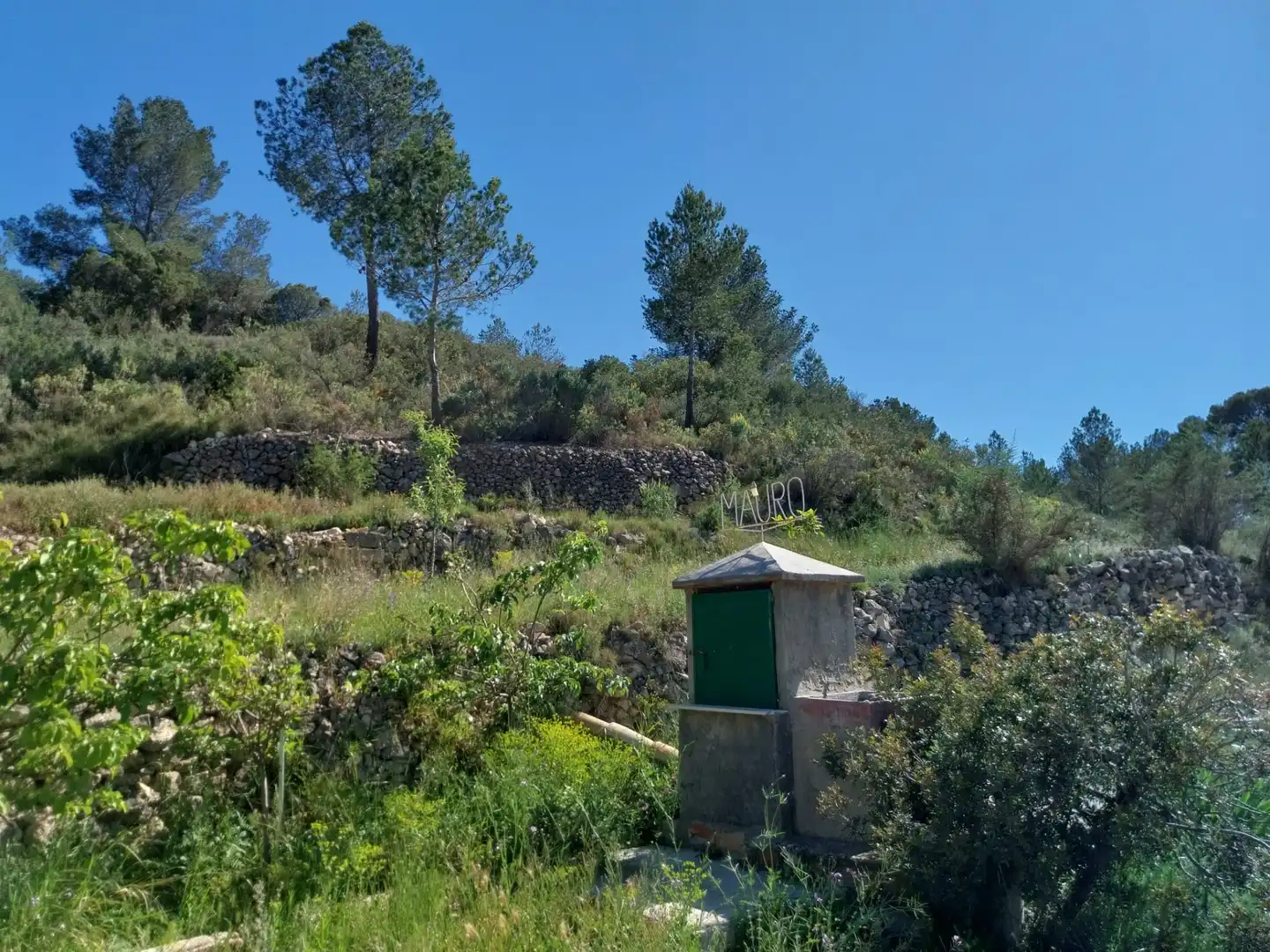 Terreno rustico in vendita a Lugar Castillo, imagen 39