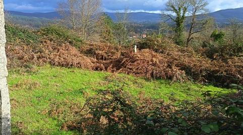 Foto 5 de Finca rústica en venta en Aldea Covaiño Lira, Salvaterra de Miño, Pontevedra