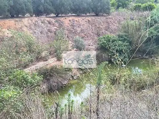 Terreny rústic en venda a Vallés, imagen 2