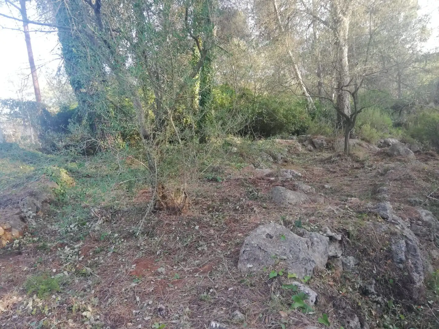Rural land for sale in Vilallonga / Villalonga, imagen 11