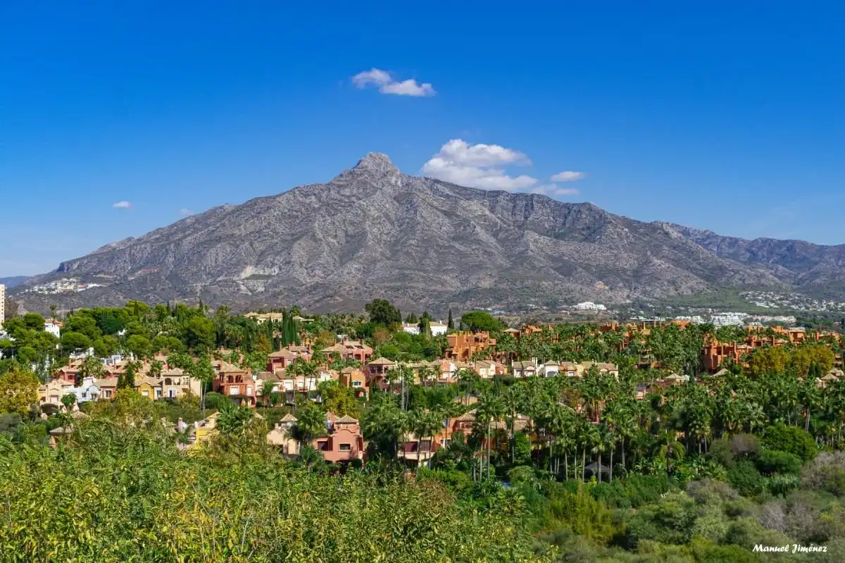 Vista exterior de Residencial en venda en Marbella