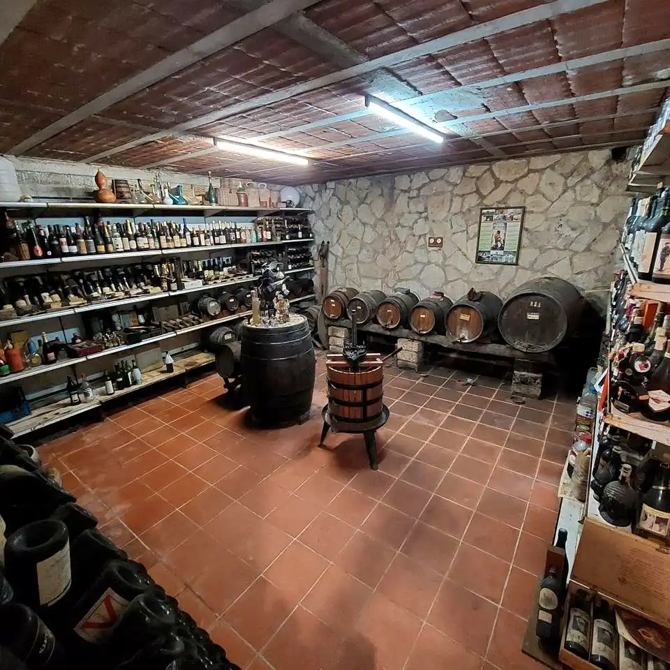 Casa o xalet en venda en Banyeres del Penedès amb Aire condicionat, Jardí privat i Moblat