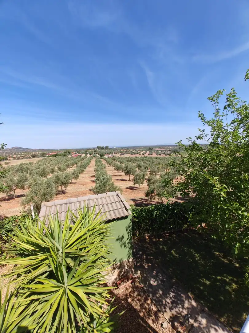 Jardín de Casa o chalet en venta en Guareña con Terraza y Piscina