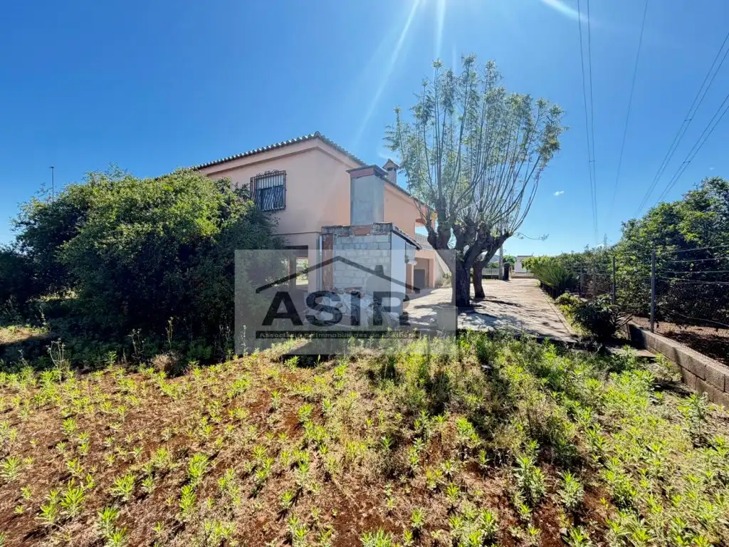 Vista exterior de Casa o chalet en venta en Alzira con Terraza y Piscina