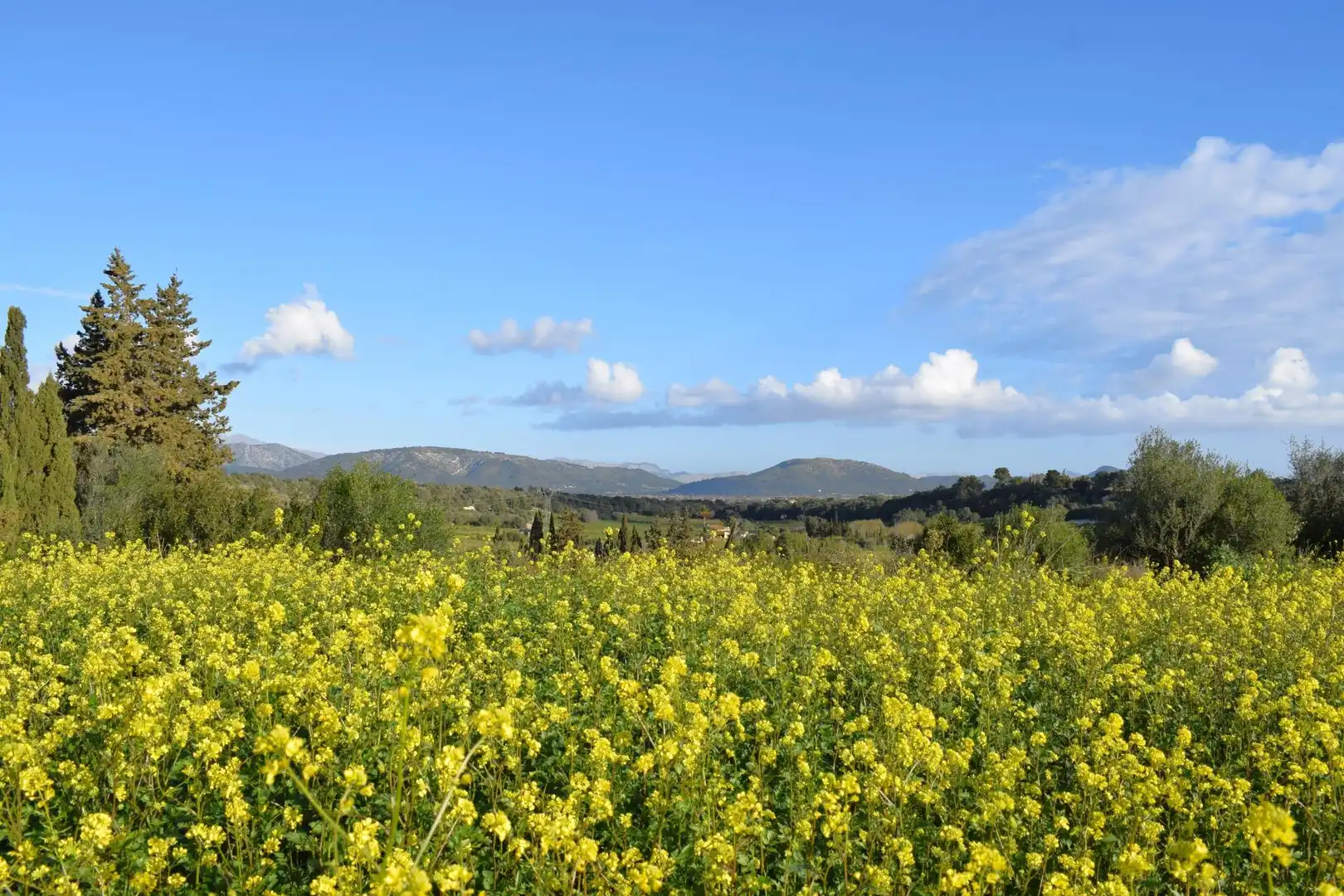 Residential land for sale in Muro