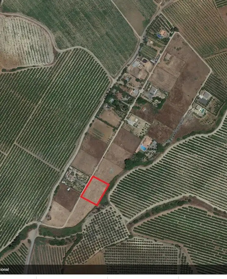 Terreno rustico in vendita a Alcolea del Río, imagen 5