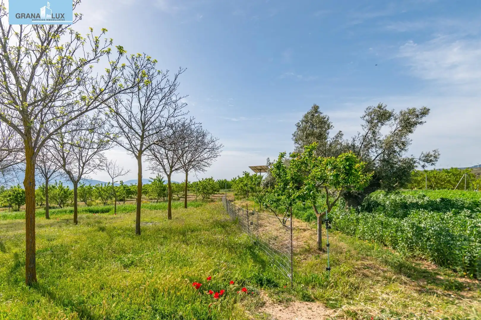 Rural land for sale in 18640, imagen 18