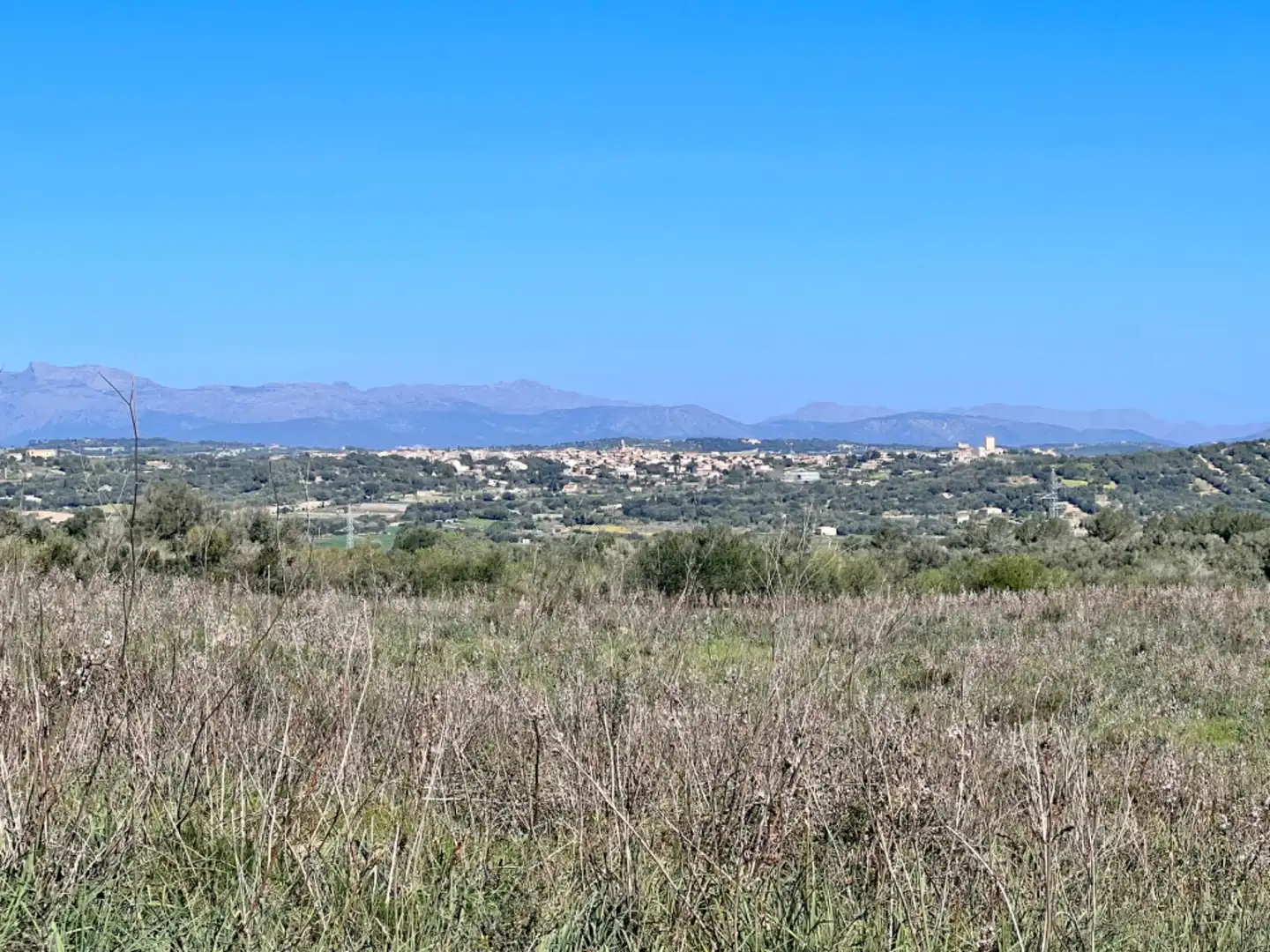 Finca rústica en venta en Petra