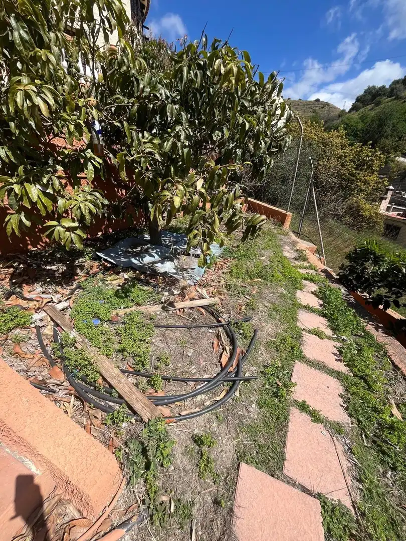 Jardí de Casa adosada en venda en Almuñécar amb Piscina comunitària
