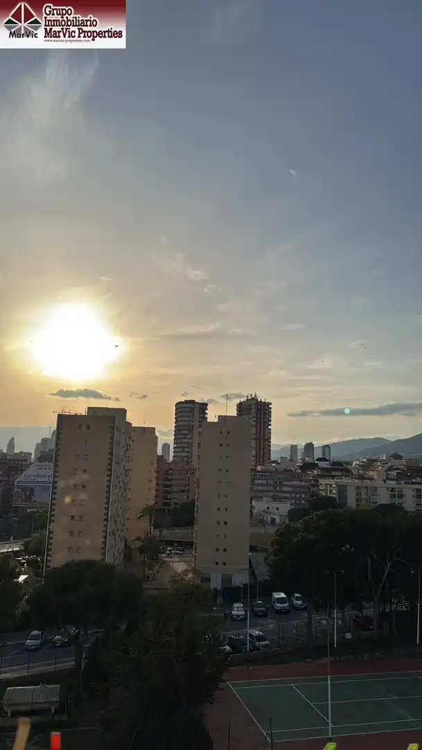 Vista exterior de Estudi en venda en Benidorm amb Jardí privat, Moblat i Piscina comunitària