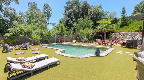 OASIS PRIVADO, imatge 5