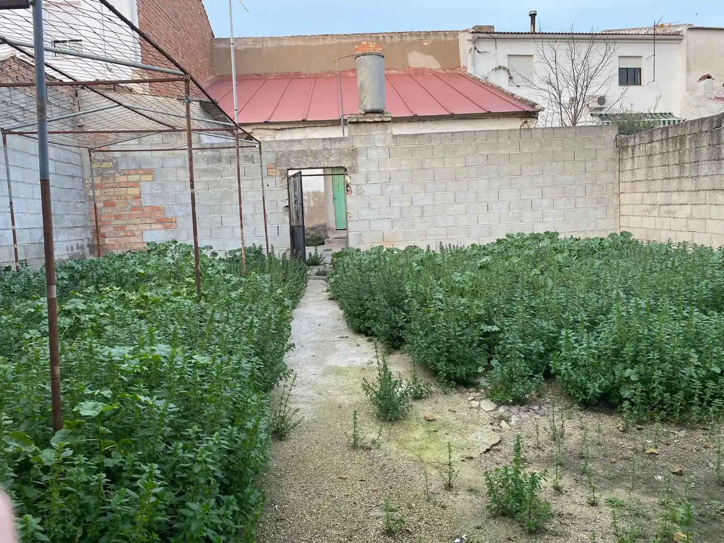 Casa rústica amb jardí en venda a Calle Ancha 38, imagen 8