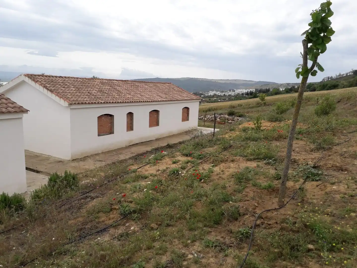 House for sale in Bornos, imagen 2