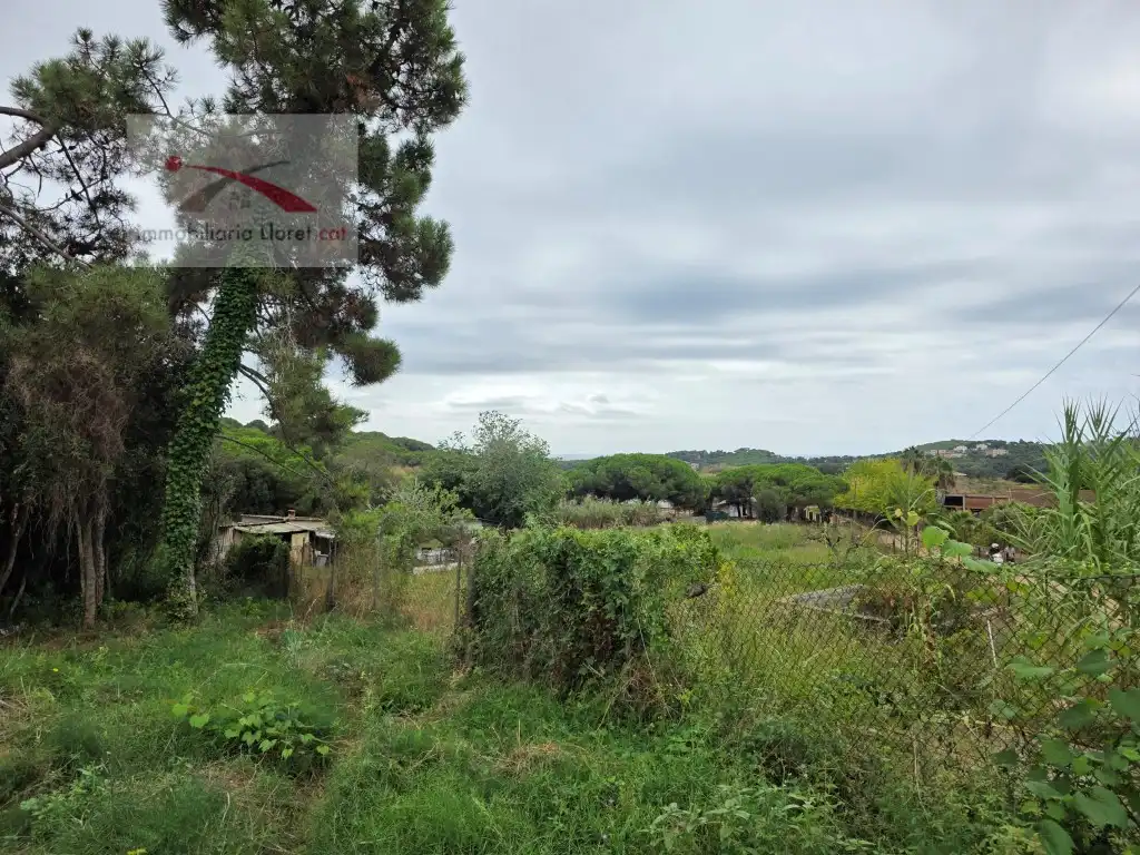 Wohnbaugrundstück zum Verkauf in Condado del Jaruco - Puigventós, imagen 2