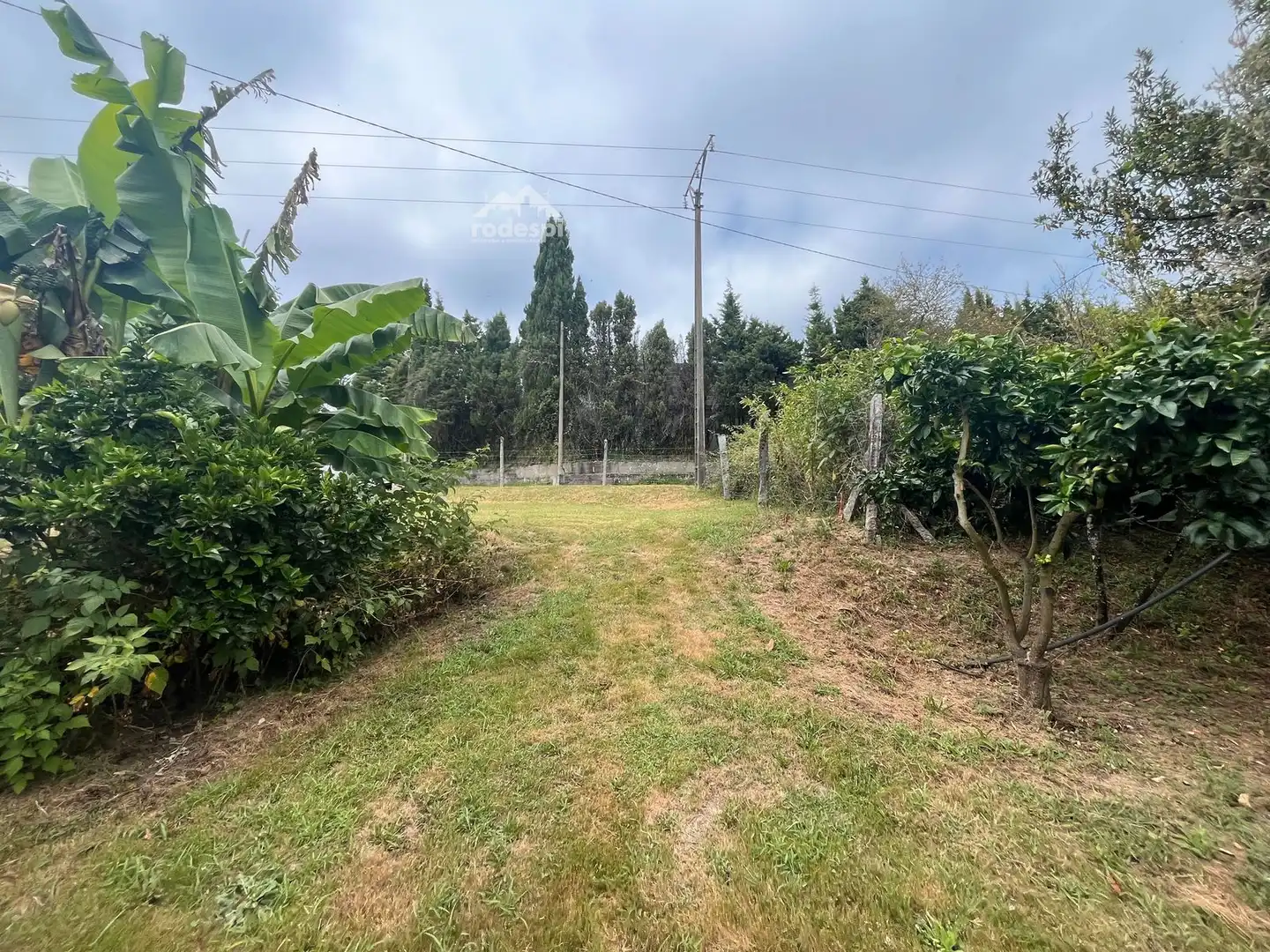 Rural land for sale in Covelo, imagen 10