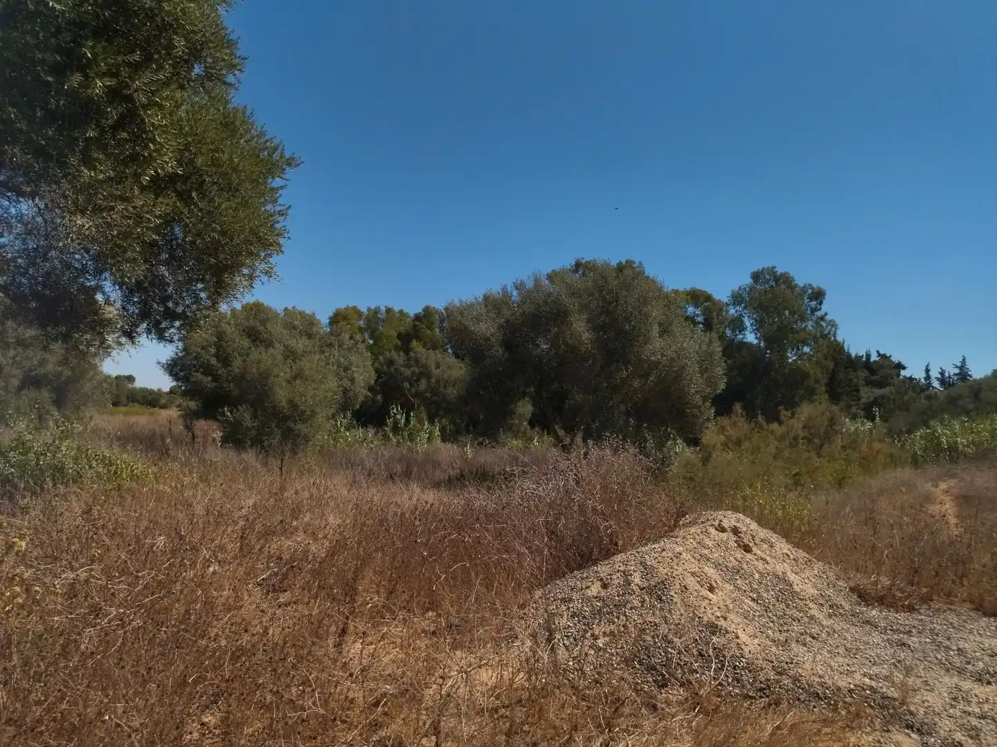 Terreno en venta en Vejer de la Frontera