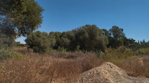 Foto 5 de Terreno en venta en N/a, -1, Vejer, Vejer de la Frontera