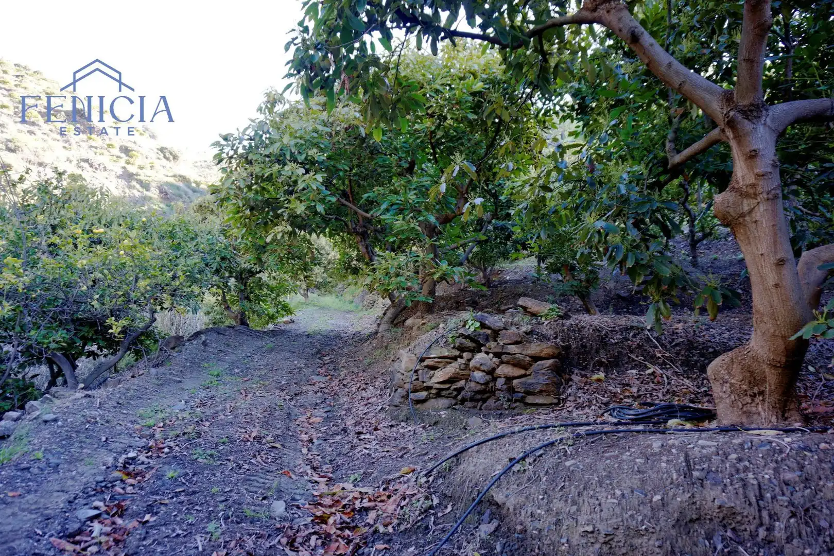 Terreno en venta en Ítrabo
