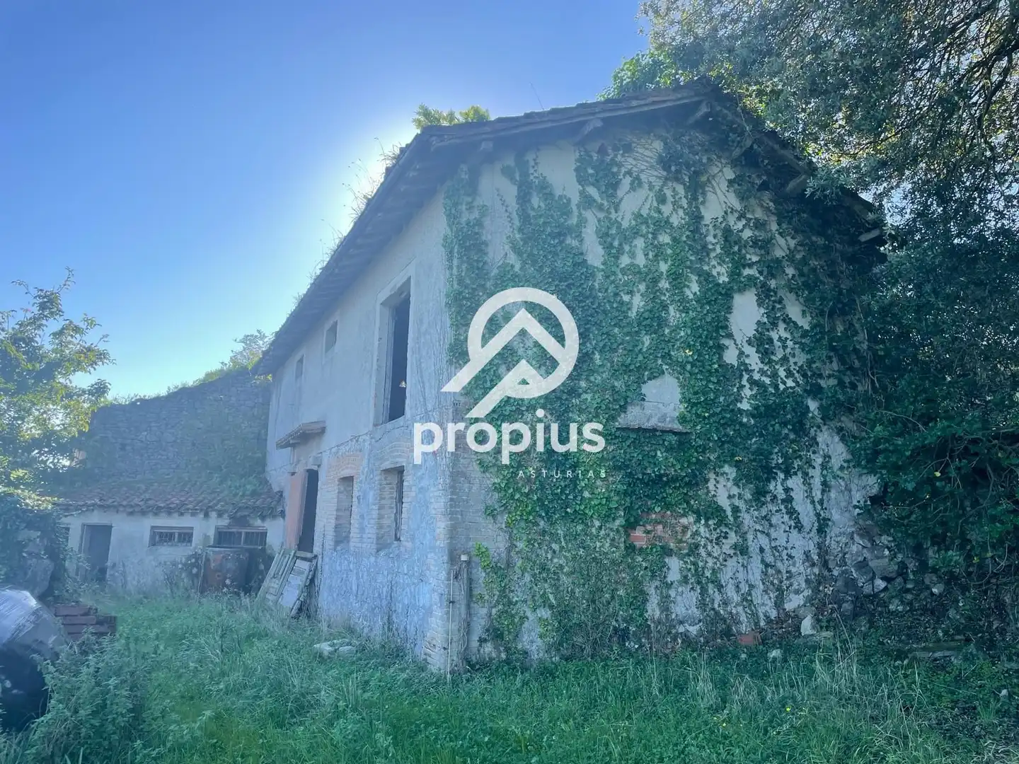 Villa in vendita a Vega,La, imagen 12