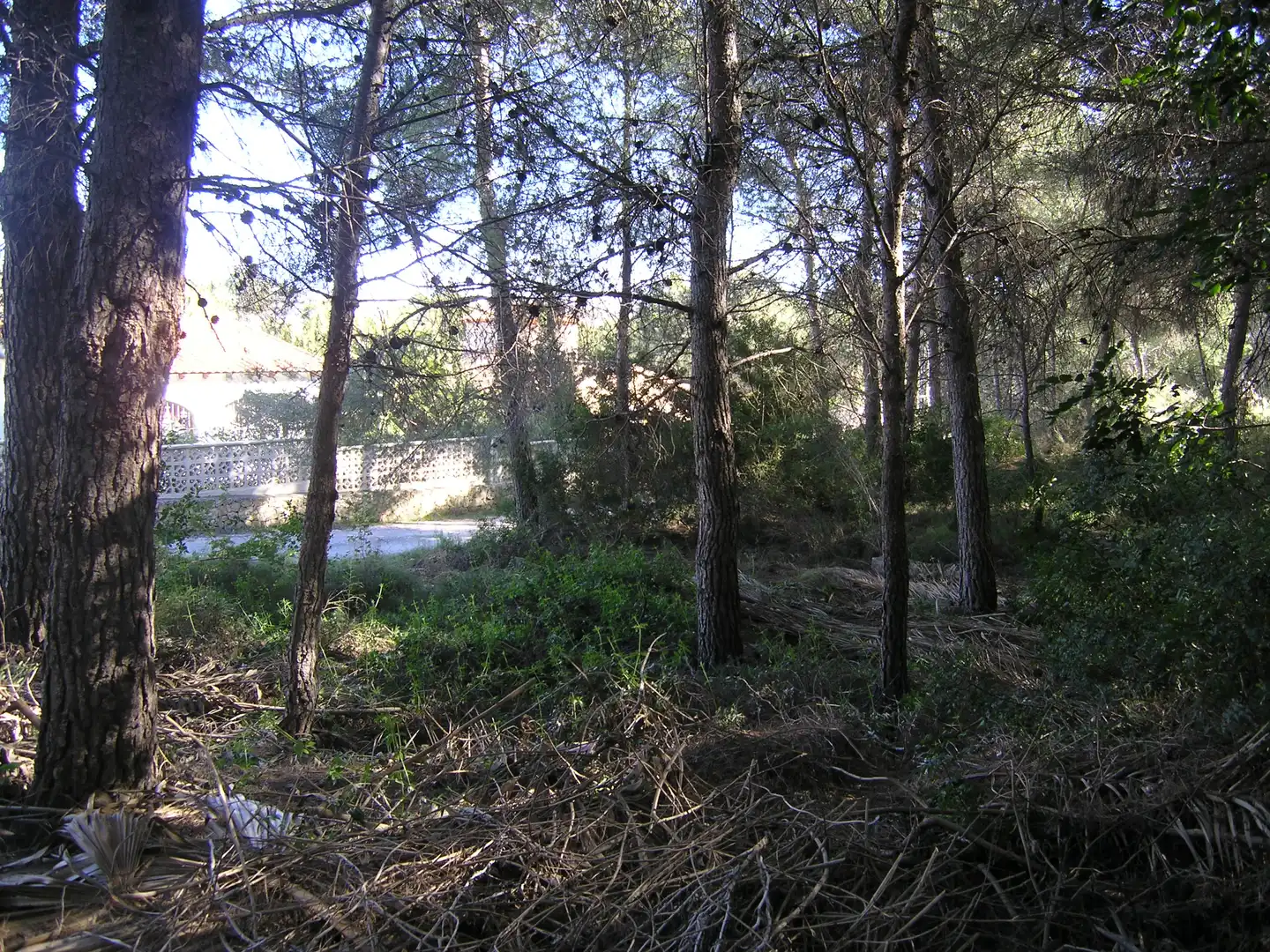 Terreno residencial en venta en Pinar del Advocat - Cometa, imagen 10