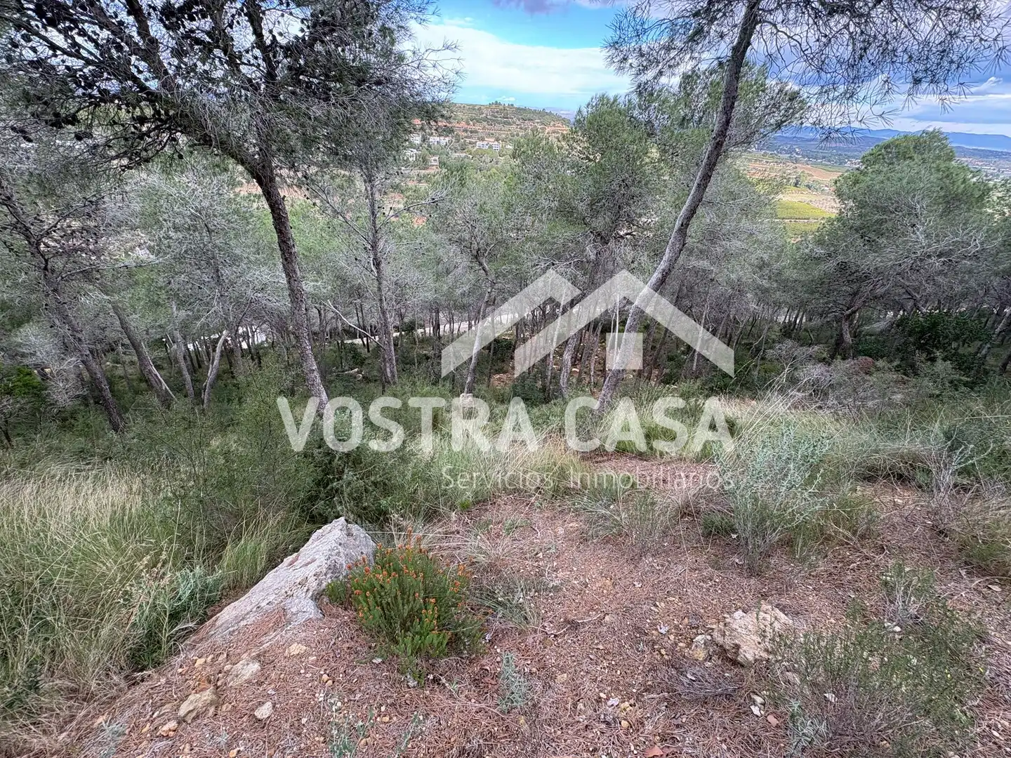 Terreno en venta en Chiva