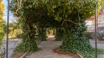 Casa o xalet en venda en Guadix amb Terrassa