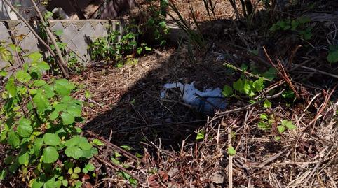 Foto 5 de Casa o chalet en venta en Sant Nicolas, Montbarbat, Maçanet de la Selva