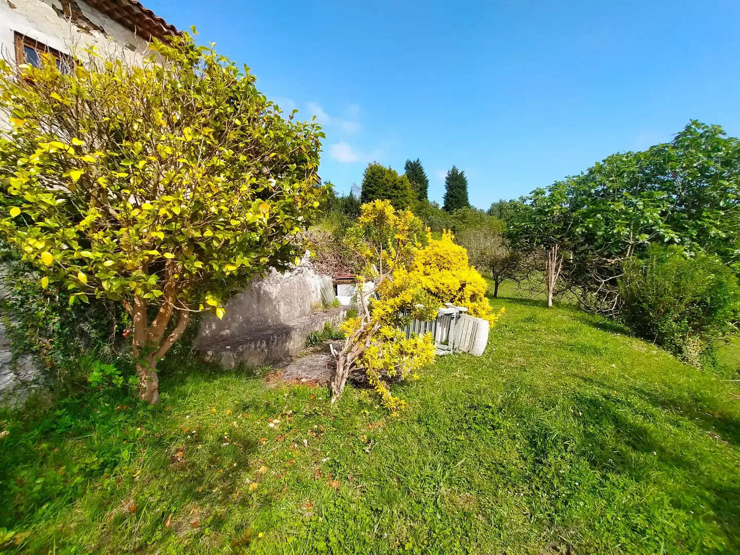 Jardí de Finca rústica en venda en Cudillero amb Jardí privat, Terrassa i Traster