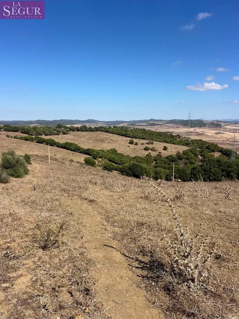 Terreny rústic en venda a Vejer, imagen 4