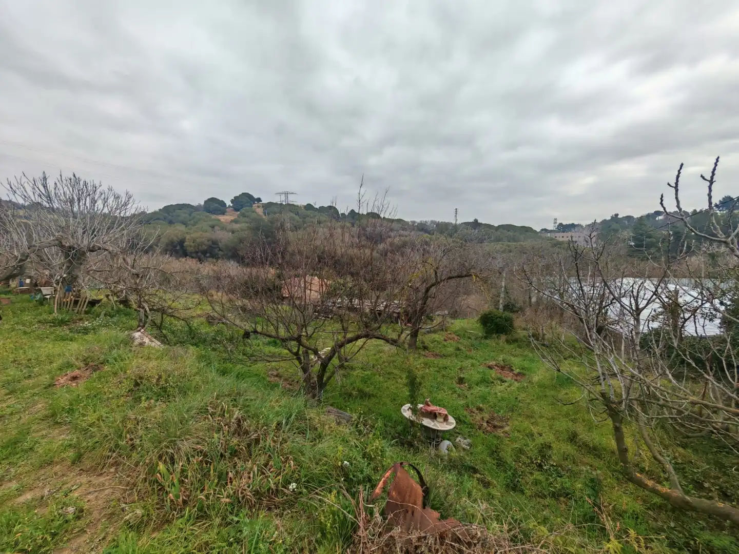 Terreni e lotti in vendita a 7, imagen 13