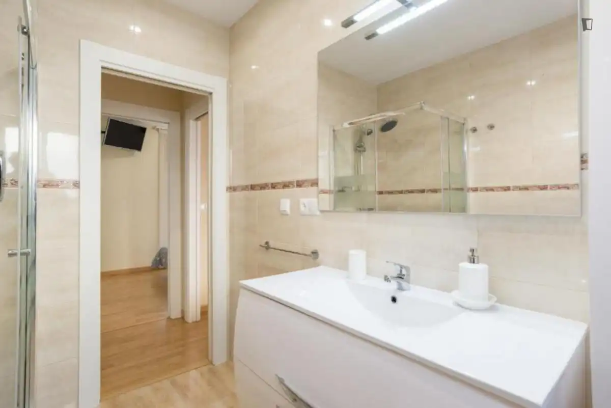 Bathroom of Apartments for rent in Málaga  with Air Conditioner, Furnished and Oven