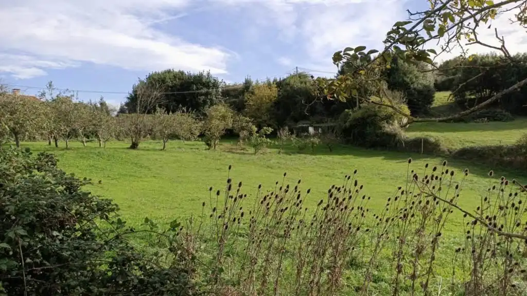 Terreny residencial en venda a Rural, imagen 5
