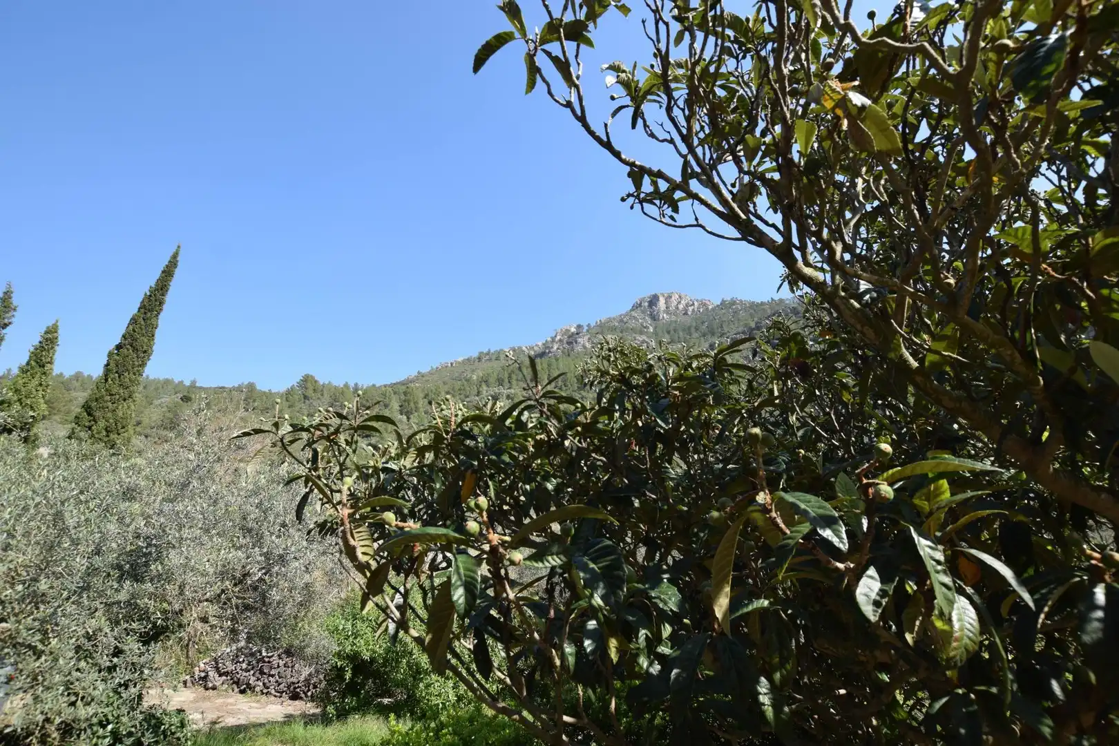 Casa o xalet en venda en Alfara de Carles amb Terrassa, Traster i Piscina