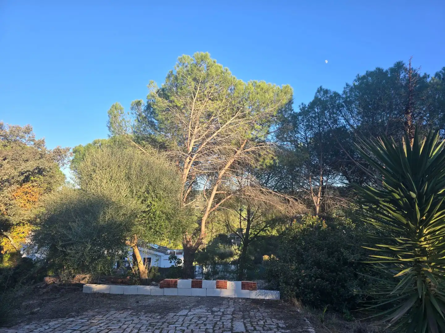 Villa mit Garten zum Verkauf in Avenida Bellavista 26, imagen 29