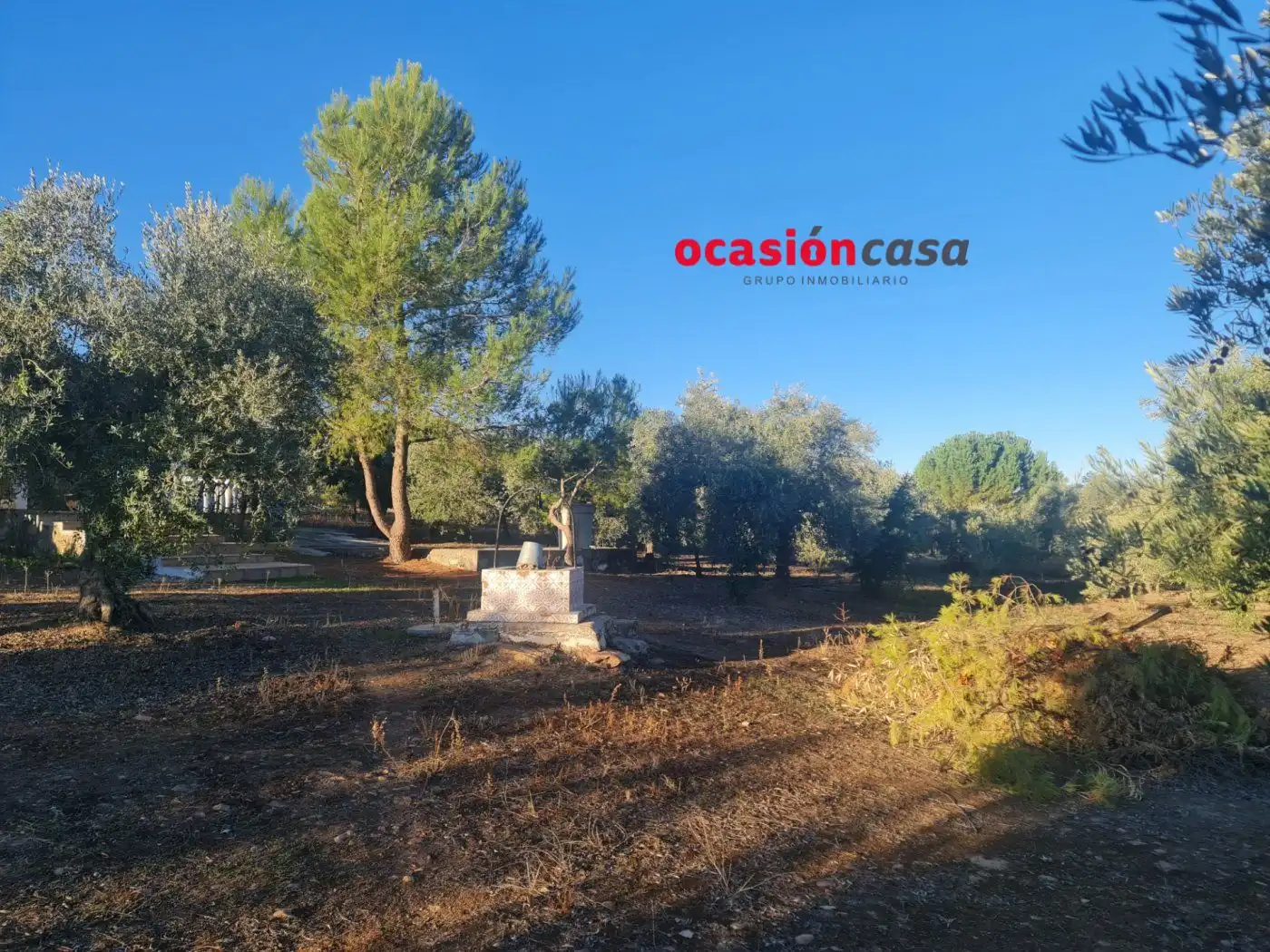 Wohnbaugrundstück zum Verkauf in La Granjuela, imagen 7
