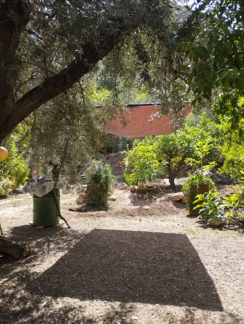 Casa rústica en venda a El Pinar, imagen 54