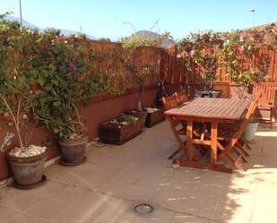 Terrace of Flat to rent in Güímar  with Terrace, Furnished and Washing machine