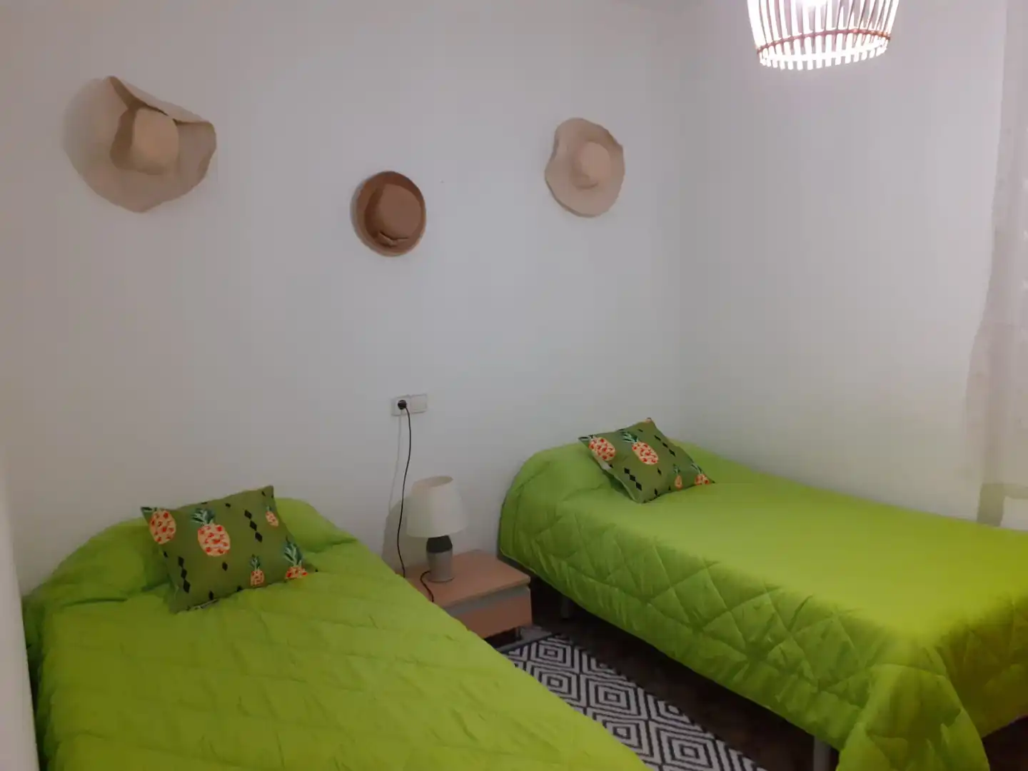 Appartement compact avec jardin à vendre à Avenida Dinamarca, imagen 14