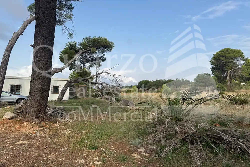 Terreno rustico in vendita a Carrer Lici, imagen 14