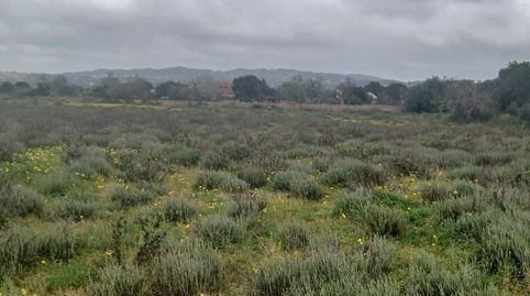 Foto 3 de Terreno en venta en Felanitx Poble, Felanitx