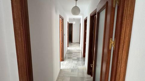 Foto 3 de Oficina de lloguer a Plaza Carmelitas, 5, Camino Viejo de Málaga, Vélez-Málaga